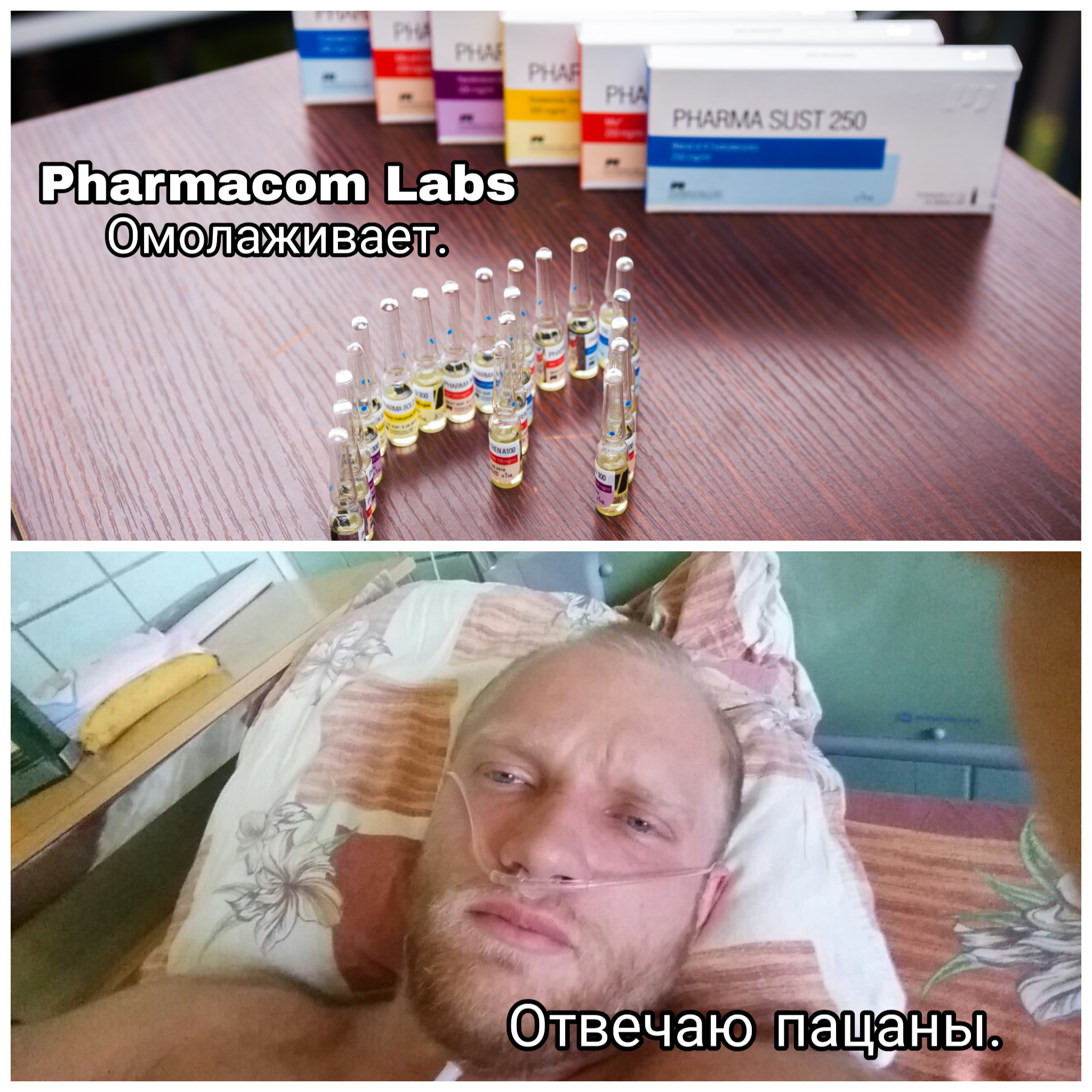 Во всём ВИНОВАТ Pharmacom.Labs! Конкурс этой Весны! - Бодибилдинг форум AnabolicShops