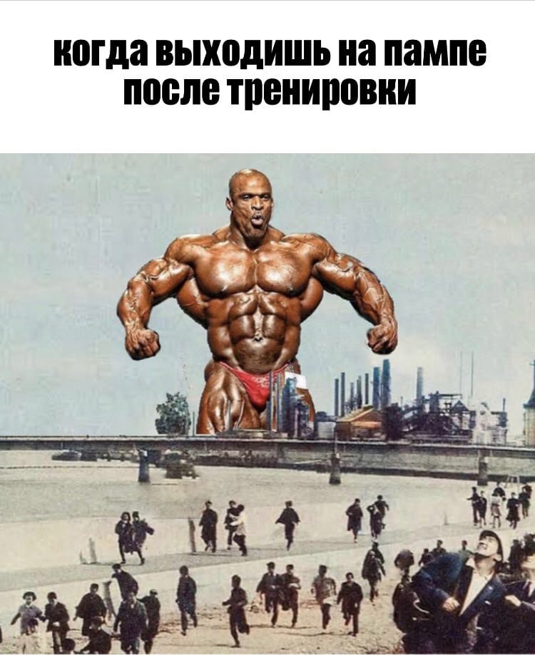 Sportpharma.shop =в Рунете с 2003 года= - Бодибилдинг форум AnabolicShops