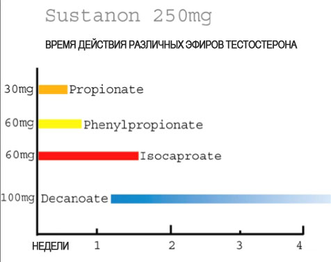 ZPHC - Бодибилдинг форум AnabolicShops