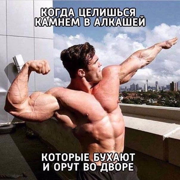 Конкурс "Битва анаболических Мемов!" - Бодибилдинг форум AnabolicShops