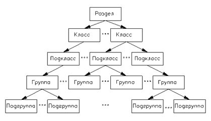 Эволюция человека - Бодибилдинг форум AnabolicShops