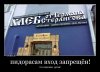 Только 3 дня -50% на всю продукцию бренда CIPLA - Бодибилдинг форум AnabolicShops